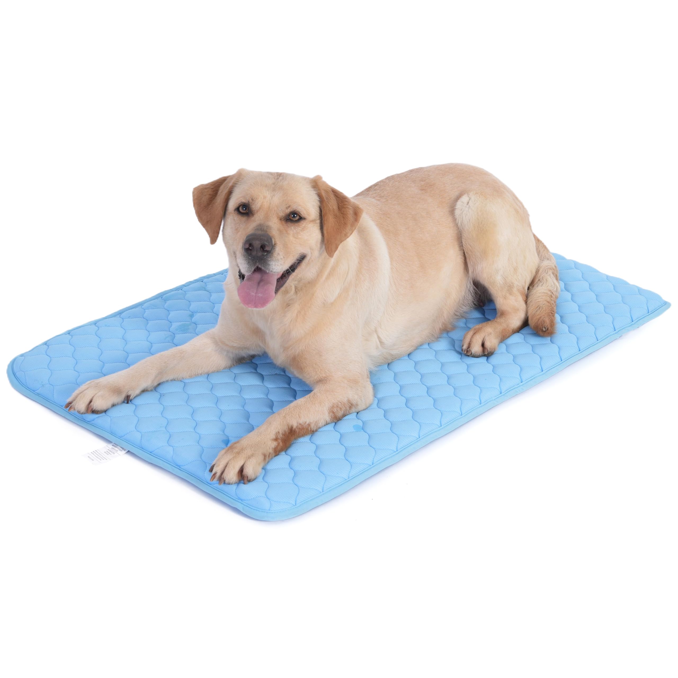 Dog Cooling Mat – No-Freeze Gel Pad for Hot Weather (Cats & Dogs)