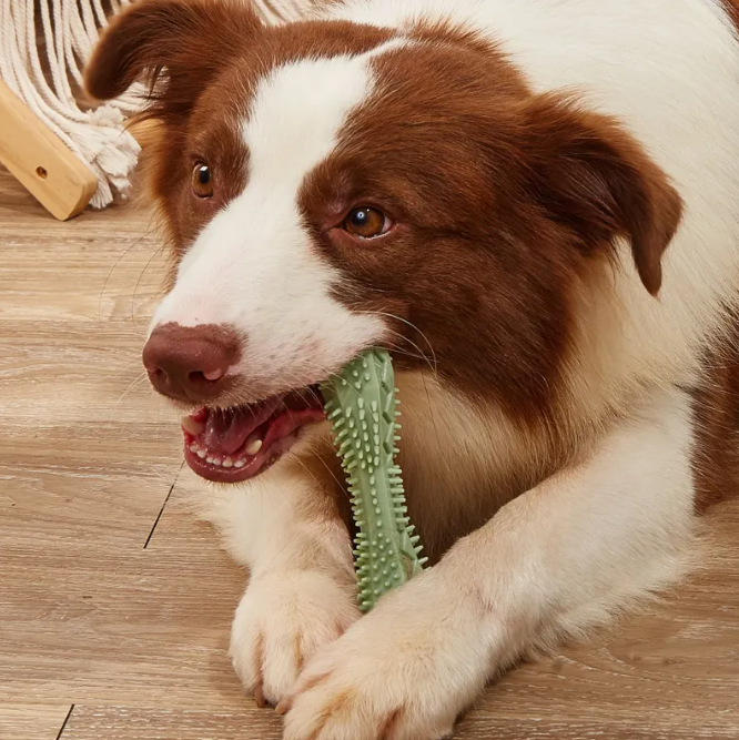 Dog Teeth Cleaning Chew Toys – Natural Dental Care Chews