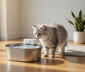 Cat Water Fountain – Automatic Drinking Fountain for Cats & Small Dogs