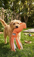SUNKYPUP Squeaky Plush Dog Toy – Durable Stuffing-Free Toy for Large & Medium Dogs (Orange)