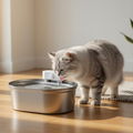 Cat drinking from water fountain