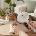 Cat Grooming Lifestyle Square