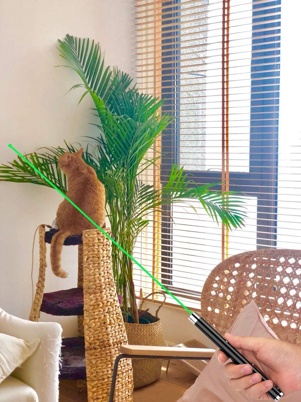 3-Pack Laser Pointer Pet Toy – Green, Blue & Red Visible Beam for Cats & Dogs