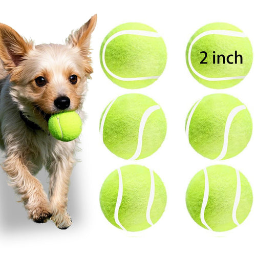 6Pcs Small Tennis Balls for Dogs，2 Inch Mini Tennis Balls for Dogs Dog Tennis Balls for Small Dogs Small Dog Balls for Playing and Practice Small Tennis Balls for Automatic Dog Ball Launcher
